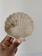 Shell Trinket Tray — Chocolate Marble & Gold Leaf